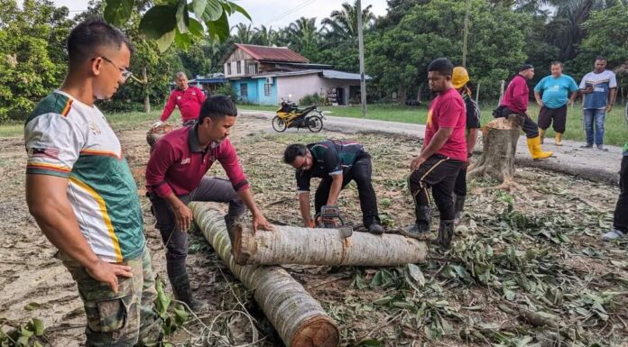 Si baju merah, si baju hijau yang dinanti datangnya