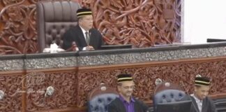 Pindaan Perlembagaan Kewarganegaraan lulus