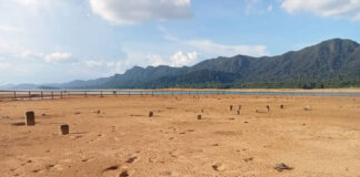 Kubur lama muncul kembali