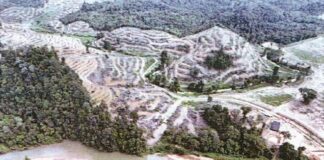Persoalan di sebalik hutan Sungai Lembing dibersihkan