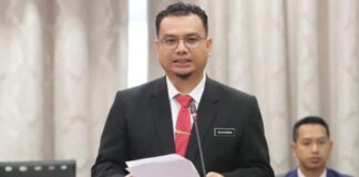 Tiada penemuan spesifik punca gajah mati di Kahang