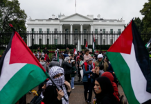 Kekalahan Kamala Harris, isu Palestin dan medsos