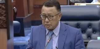 Pokok tumbang: Kajian tatacara penanaman perlu dibuat