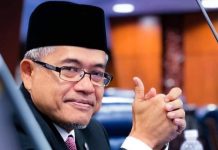 Tambah khidmat feri ke Langkawi disambut baik