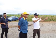 Ladang nanas MD2 di Chuping buka peluang kerja