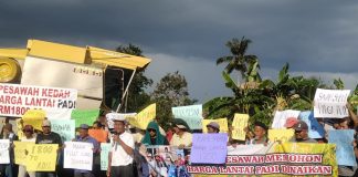 Pesawah tuntut harga lantai padi RM1,800 satu tan