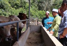 ‘Apo Kobar Pok Tani’ bantu tingkat hasil pertanian