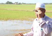 Perlis perlu RM40 juta, baiki sistem saliran sawah