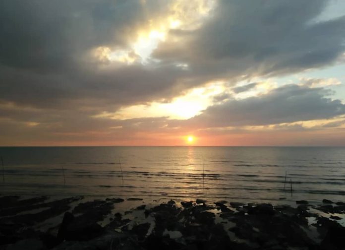 IMG-20250218-WA0055