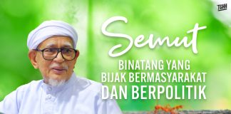 Semut binatang yang bijak bermasyarakat dan berpolitik