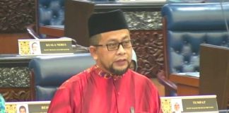 ‘Siapa nak pantau KSN, adakah cukup sekadar PM?’