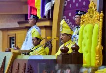 Sultan puji sektor pertanian negeri catat pertumbuhan