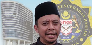 ‘Mustahil hanya ‘seekor jerung’ yang terlibat’