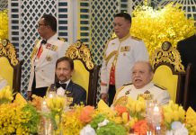 Tuanku Syed Sirajuddin payung negeri Perlis