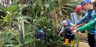 Isu ladang babi: Bukti kegagalan dan kealpaan Kerajaan BN di Ayer Kuning