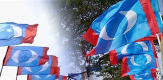 Kuasa di sebalik klausa: Mencari jati diri perjuangan PKR