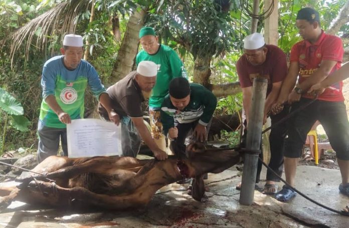 KORBAN 1