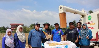 R&D pertanian: Beri sokongan, naikkan peruntukan bajet