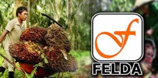 Ada anasir intai peluang untuk kuasai FELDA?