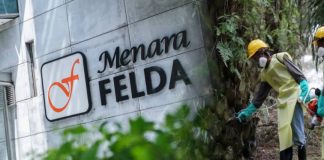 Jangan biarkan FELDA terus lemah