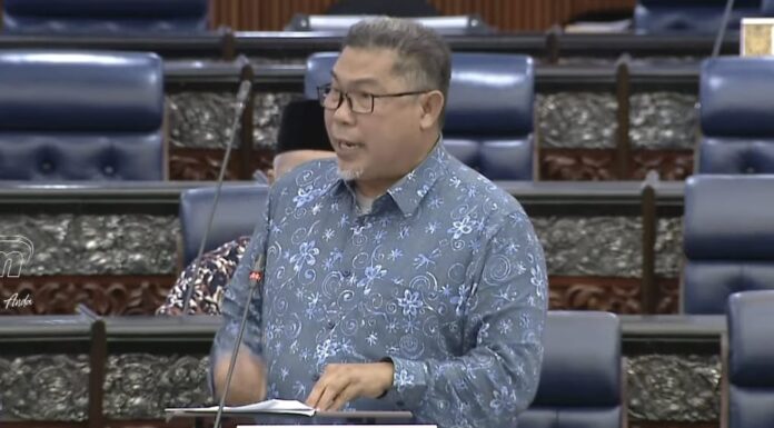 Selesaikan isu pokok sawit tua, tanam semula perlahan