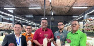Tubuh ‘task force’ tangani isu di sekitar kilang DXN