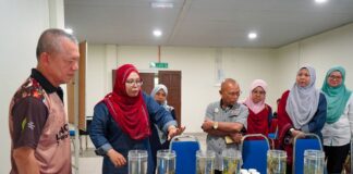 Dua spesies rumput laut dikesan di perairan Kijal