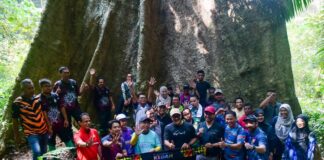 Pokok mengkundor 100 tahun aset baharu Geopark