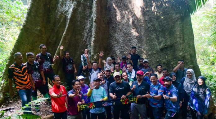 Pokok mengkundor 100 tahun aset baharu Geopark