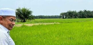 Jangan tukar sawah jadi sawit – Dato’ Dr Azman