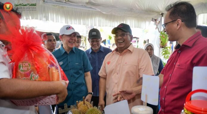Padi Sarawak pelengkap, bukan pesaing Kedah