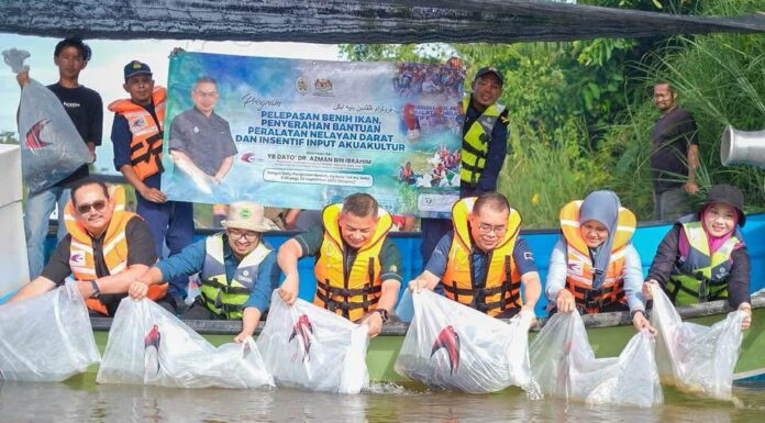 Benih udang galah, lampam dilepaskan di Sungai Setiu