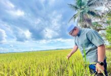 Subsidi beras tamat, petani jadi mangsa – Dato’ Dr Azman