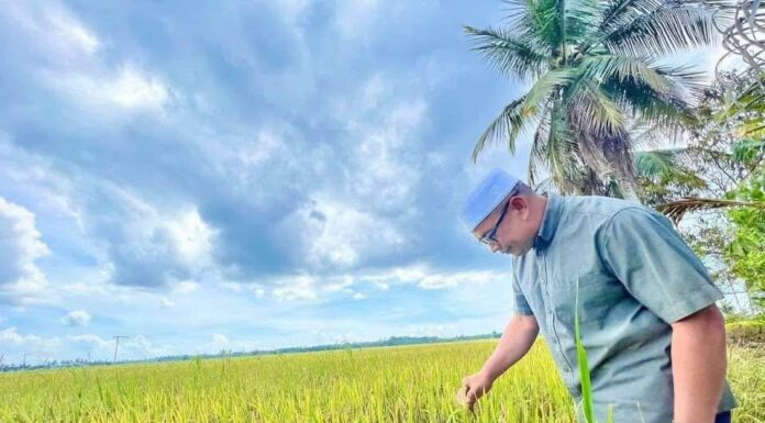 Subsidi beras tamat, petani jadi mangsa – Dato’ Dr Azman