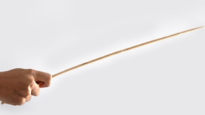 rotan2