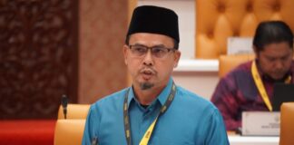 Isu RTB Sg Kangsar, pembalakan Gunung Bubu