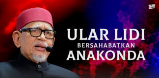 Ular lidi bersahabatkan anakonda