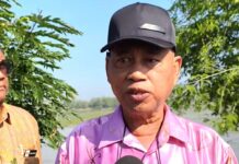 Petani harumanis, pesawah terjejas banjir dibantu
