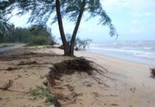 Hakisan pantai: Krisis awal iklim tidak wajar dipandang ringan