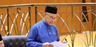 Lapan pekan baharu bakal diwujudkan, perluas bandar