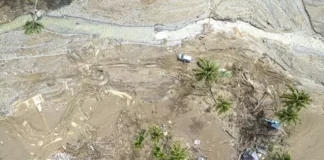 Deforestation, mudslides and a serious warning to Malaysia