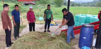 Silaj alternatif makanan ruminan musim tengkujuh