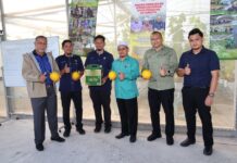 Projek Melon Madu Kelantan terus catat kejayaan