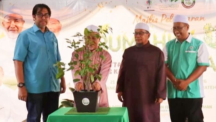 pokok