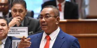 Pertimbang subsidi kepada pengusaha feri Langkawi