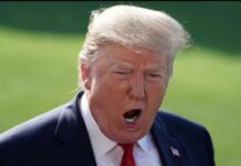 Simpati terhadap Iran: Trump ‘serang’ Paus Leo