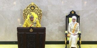 Sultan titah larangan ternakan babi di Selangor