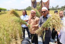 Kelantan kumpul maklumat impak cuaca kering