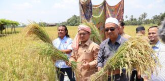 Kelantan kumpul maklumat impak cuaca kering