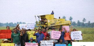 Apabila pesawah mengalah, dasar Kerajaan Madani wajar dipersoal